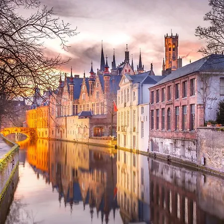 Gillis Eight By Romy&travis Hotel Bruges